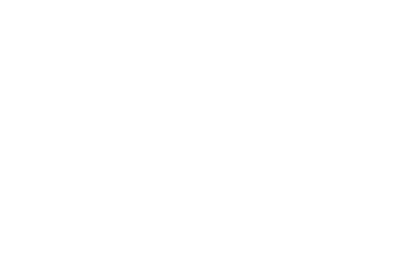 Chilcott Immobilien Logo
