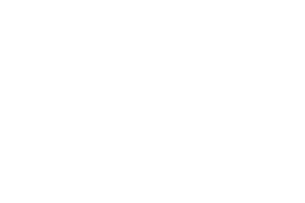 Talent trifft Stern Logo